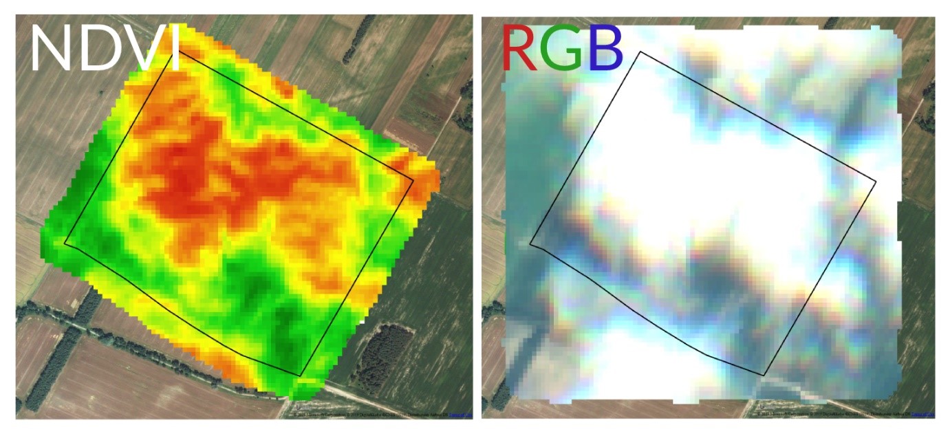 Ejemplo de imagen con el indicador de vegetación (NDVI) en el que aparece una nube junto el la imagen RGB de esta.
