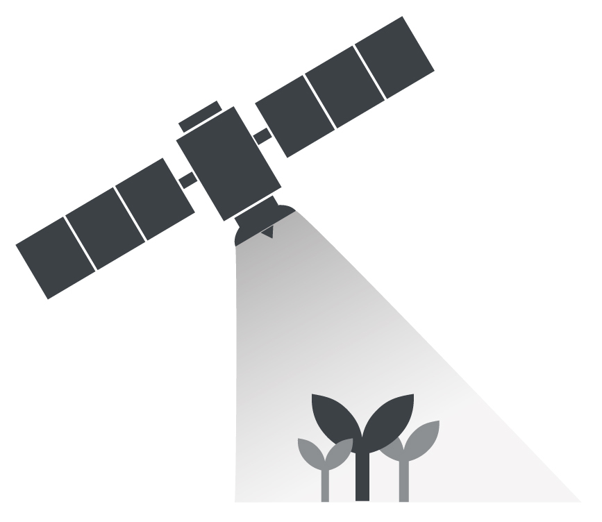 Icono pilar monitorización satélite de cultivos